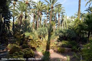 19 ELCHE HUERTO DEL CURA (109)